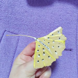 Brosa Frunza, Ginkgo Biloba - Thumbnail 2